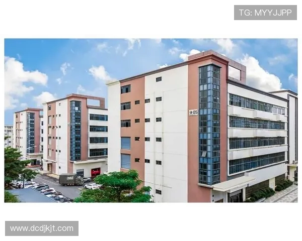 上海羽毛球队在洲际杯中的强势表现与未来发展潜力分析