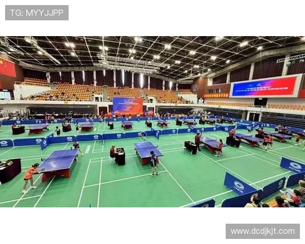 乒乓球的魅力与激情：深入了解北京乒乓球队的训练与比赛节奏