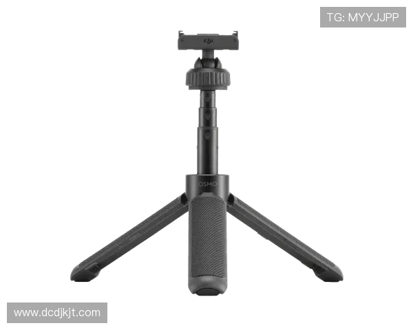 武汉极限运动队防守策略解析与热点动态探讨